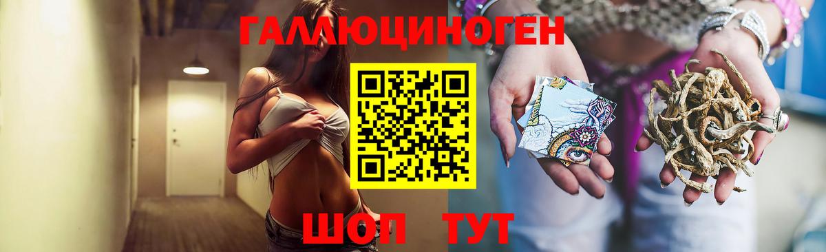 Галлюциногенные грибы MAGIC MUSHROOMS  Вход с VPN  Куйбышев 